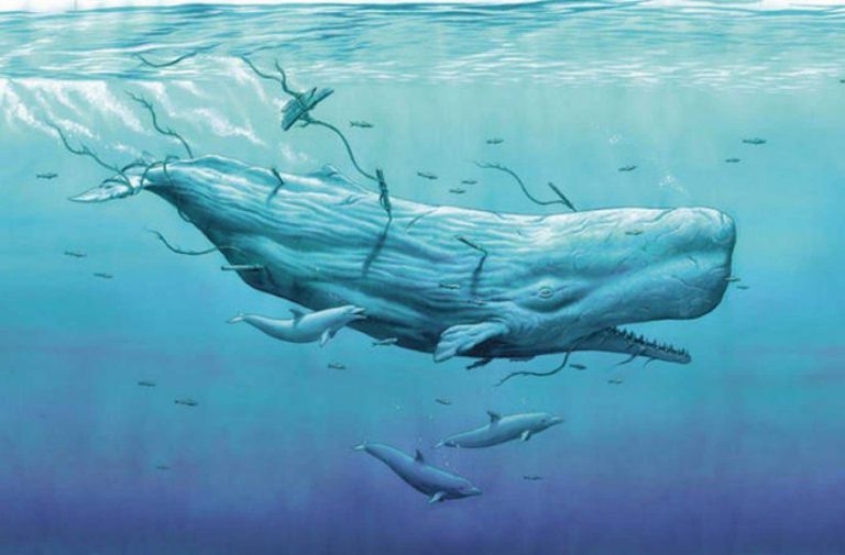 Moby Dick - Resumo e Contexto