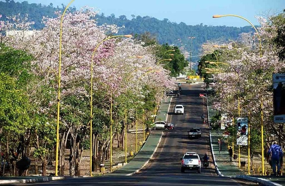 Registro de Marca em Parauapebas