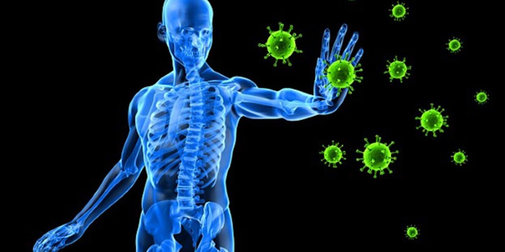 Sistema Imunológico - O que é, Células e Órgãos