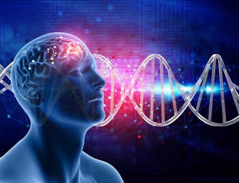 Neurolistica
