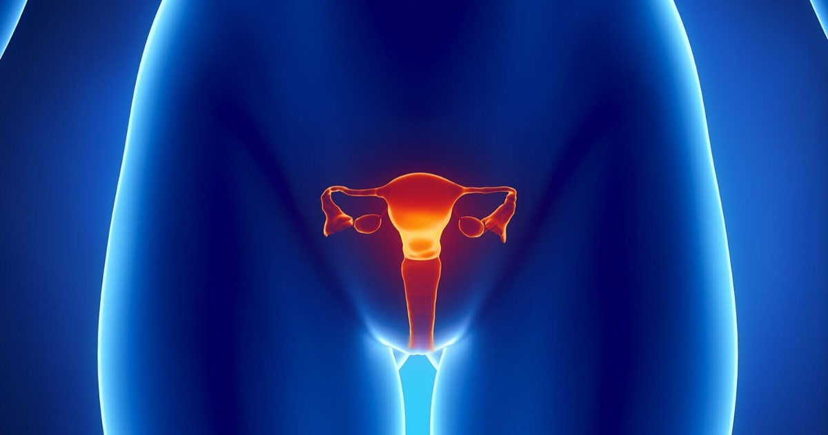 sistema-reprodutor-feminino